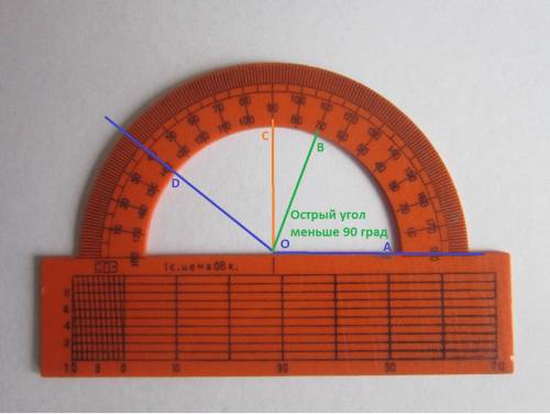 Начистите острый угол aob.выполните следующие : 1.проведите луч oc так,чтобы угол aoc был прямым,а у