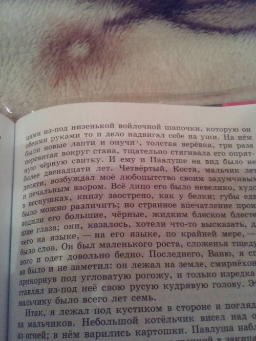 Написать характеристику одного из мальчиков из рассказа и.с.тургенева бежин луг по плану: 1.внешно