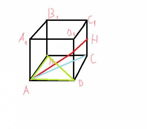 Впараллелепипеде abcda1b1c1d1 проведен отрезок, соединяющий вершину а с серединой ребра сс1. в каком