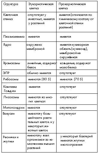 Сравнение строение клеток эукариот и если можно таблицей или же как вам удобно. клетки эукариот отме