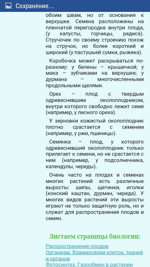 Сообщение о разнообразии плодов и их роль в природе и в жизни человека