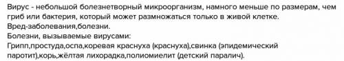 Какой вред приносят человеку вирусы