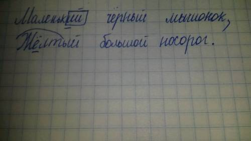 Впоследнюю строчку впиши новое словарное слово подчеркни в нем буквы написание которых надо запомнит