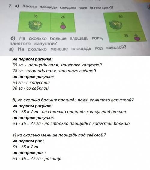 Какого площадь каждого поля в гектарах , на сколько больше площадь поля занятого капустой. на скольк