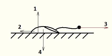 Компьютерную мышку за провод тянут по столу. сделайте схематичный рисунок. изобразите силу, приложен