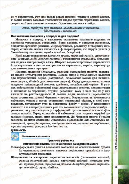 Расскажите про брюхоногих малюсков, головоногих и двуствочатых