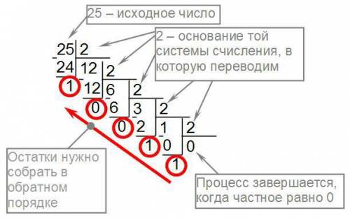 Как переводить числа из 10-ой системы счисления в 2-ую систему счисления? из 10-ой в 8-ую? из 10-ой