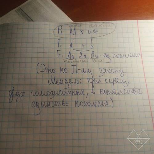 Усветловолосого отца и темноволосой матери 7 детей, все темноволосые. каковы генотипы родителей?