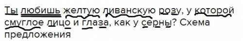 Ты любишь желтую ливанскую розу, у которой смуглое лицо и глаза, как у серны? схема предложения