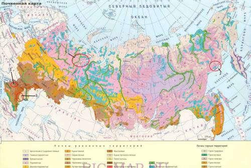 Вкаком из перечисленных регионов россии почвы наиболее плодородные? 1.липецкая обл 2.магаданская обл