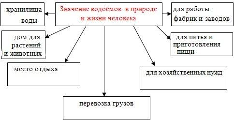 Схема значение водных богатств в природе и жизни человека