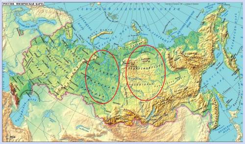 Сравните положение западно сибирской низменности и среднесибирского плоскогорья