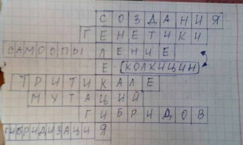 Построить график y= (cos(x)/|cos(x)|)(x+pi)