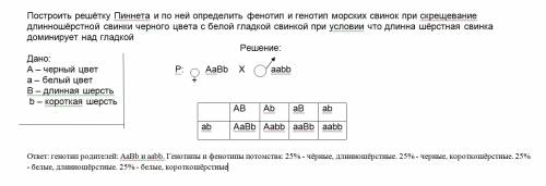 Построить решётку пиннета и по ней определить фенотип и генотип морских свинок при скрещевание длинн