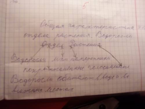 Общая характеристика царства растения таблицей 5 класс. мне на карантин задали , а я болею!