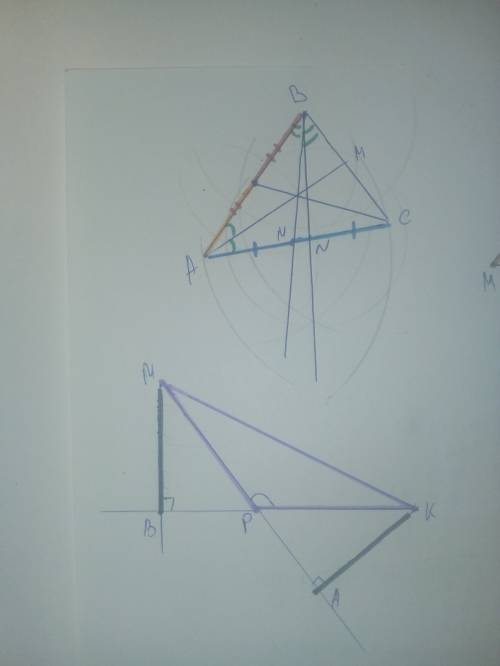 №1 начертите произвольный три угольник abc. построй: 1)биссектрису; а) am; б) bn 2)медиану: a)bd; ,)