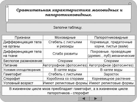 Сравните строение папоротников и мхов