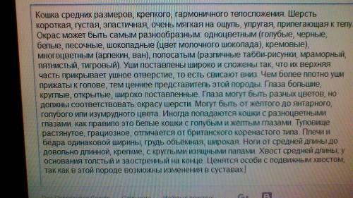 Составить небольшое описание шотландской вислоухой кошки на языке. 5 класс