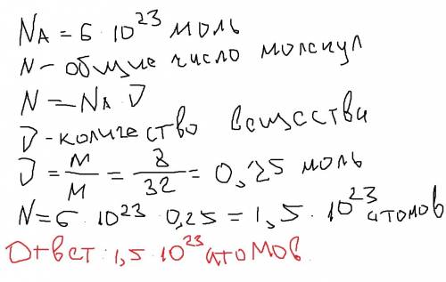 Сколько молекул содержится в 8 граммах серы