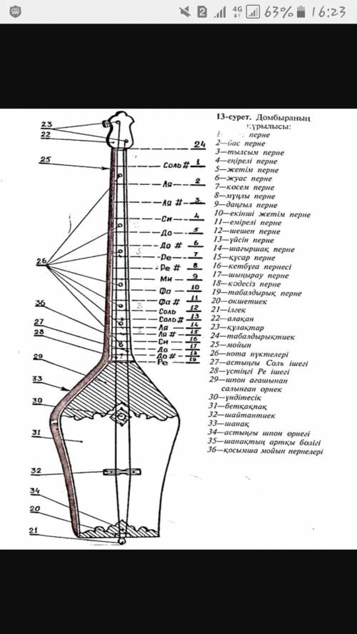 Тірек сызба бойынша домбыраның құрылысы жөнінде айтып беріңдер