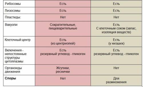 Составьте сравнительную таблицу «черты сходства и различия животных и грибов».составьте сравнительну