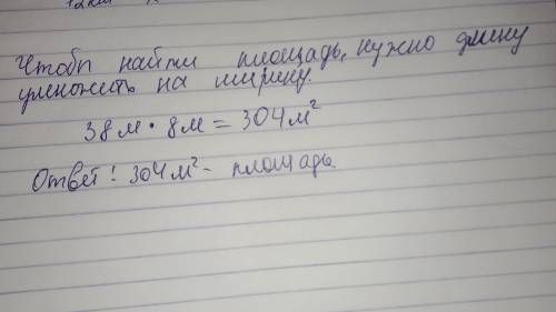 Вычисли площадь участка , длинна которого равна 38 метров , а ширина 8 метров