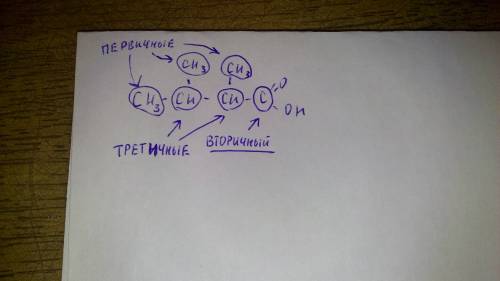 Вторичных атомов углерода в молекуле 2.3 диметил бутановой кислоты