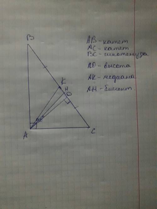 Начертите прямоугольный треугольник выделите катеты и гипотенузу. проведите биссектрису медиану высо