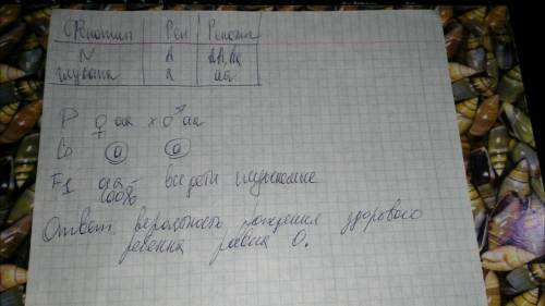 Учеловека глухонемогг рецисивный ген,какова вероятность рождения здорового ребенка в семье,где отец