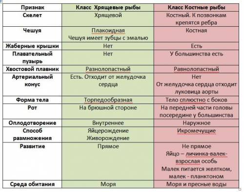 Основные систематические группы рыб : таблица класс рыб основные группы отличительные признаки предс