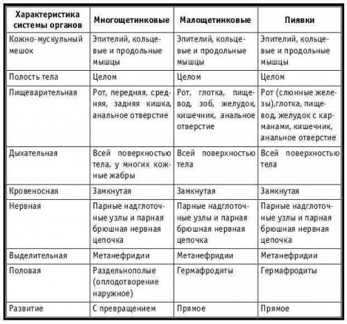 Какое строение тела у червей? надо таблицу сделать(