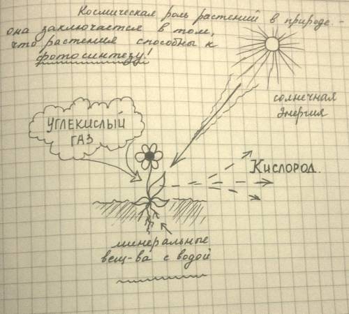 Составьте схему,иллюстрирующую космическую роль растений в природе