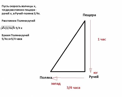 Волчица отправилась на поиски пропитания для своих детёнышей. от пещеры, где стая обитает последние