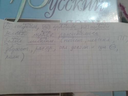 23 синтаксический разбор слов: по лопухам, по крапиве, по низкой зеленой траве рассыпались белые лис