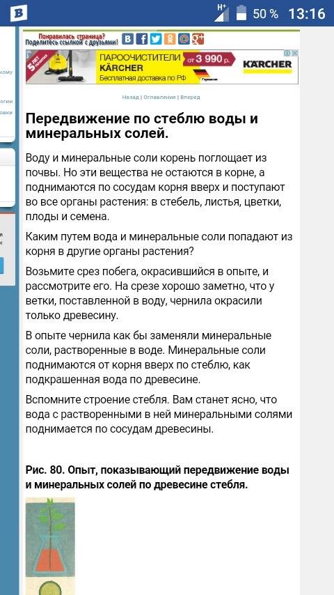 Как вода и минеральные соли в корень? по каким клеткам вода передвигается в корне? куда они поступаю