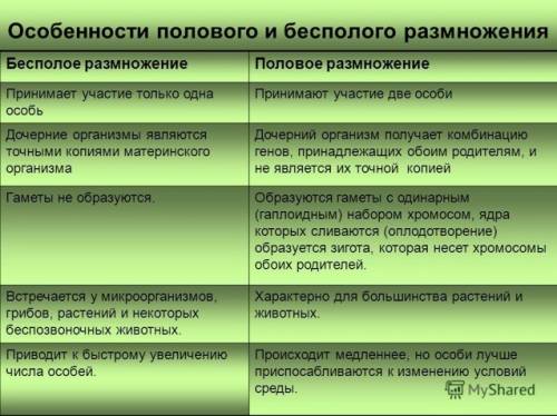 Типы размножения растений? напишите об отличительных признаках полового и бесполового размножения