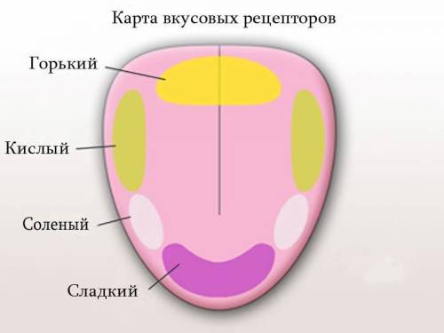 1.что являлось крупнейшим ароморфозом в эволюции растений на земле? а)возникновение листьев и разной