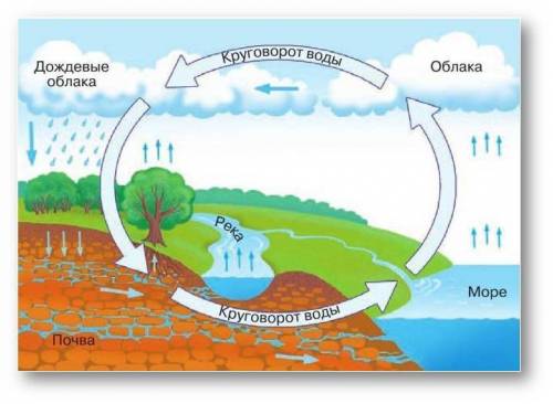 Что такое круговорот воды в природе?