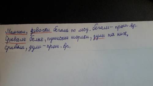 Малчику девочки бегали по лесу. срывали белые пушистые шарики, дули на них. время глагола и почеркни