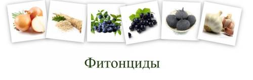 Фитонциды-это: а)особые вещества, убивающие болезнетворные микробы б)особые вещества развитию болезн