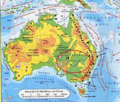 Назовите низменность, расположенную в центре материка. (австралия)