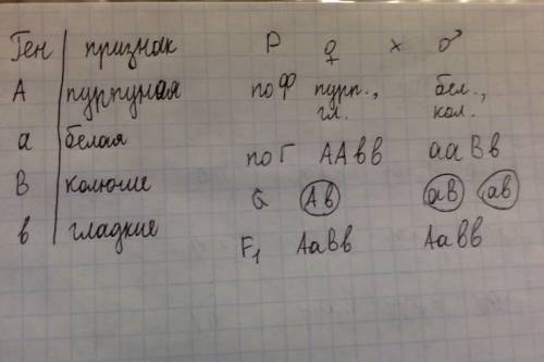 Дурмана пурпурная окраска цветков доминирует над белой а колючие,а колючие семенные коробочки над гл