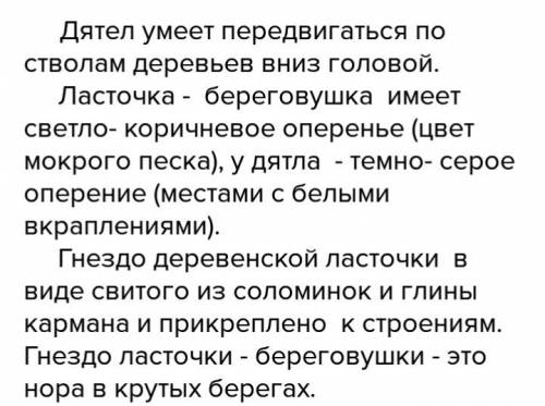 Сравнить двух птиц: дятел и деревенская ласточка