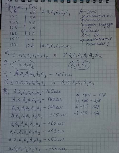 Рост человека контролируется несколькими парами полимерных генов. если пренебречь факторами среды и