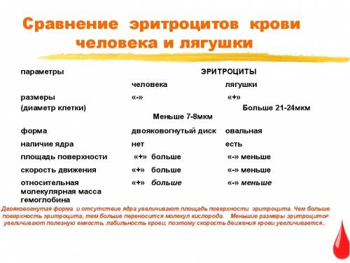 Рассмотри и зарисуй эритроциты крови лягушки, чем они отличаются от эритроцитов в крови человека?