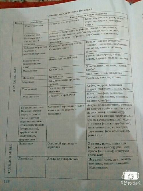 Каковы особенности крестоцветных растений