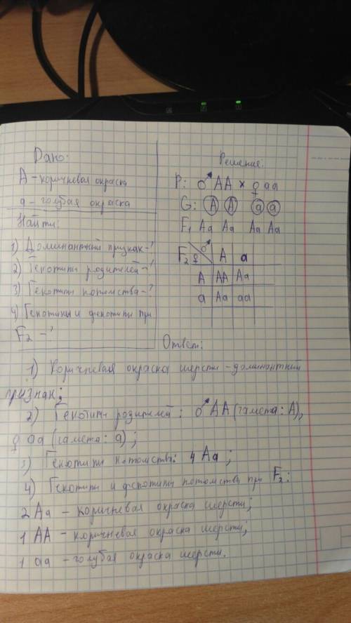 1) скрестили гомозиготную голубую норку с гомозиготной коричневой. в результате все норки первого по