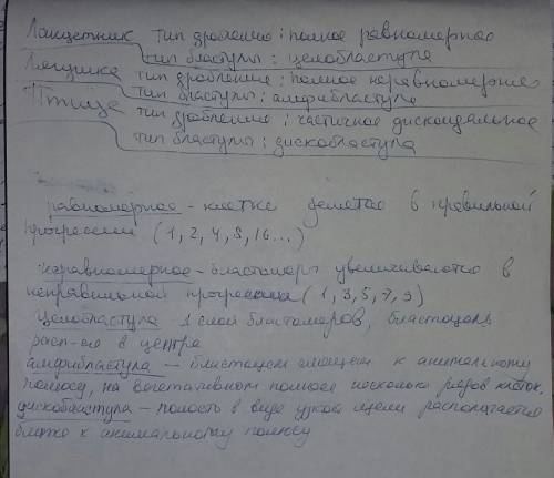 Дробление и типы бластул у позвоночных: ланцетник ,лягушка,птица(краткое описание,)