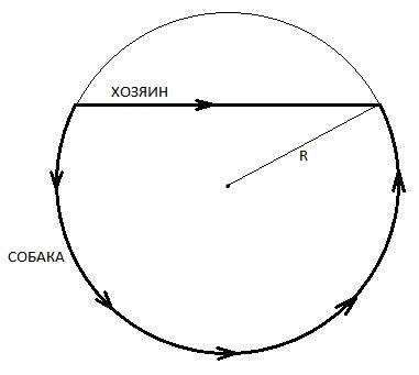 Хозяин выгуливает собаку в парке. после того как хозяин отпустил собаку, он проходит прямолинейный у