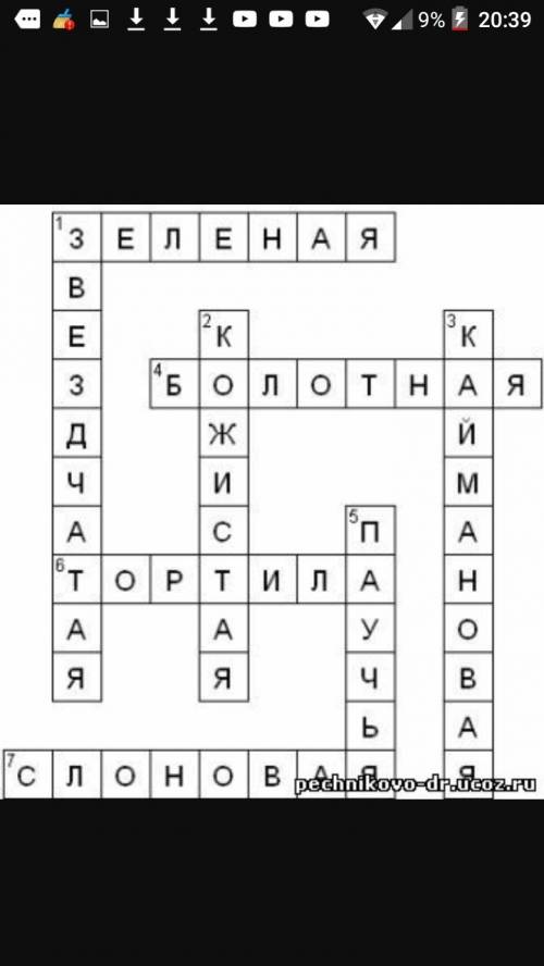 Составить кросворд по биологии с вопросами. ключевое слово черепахи